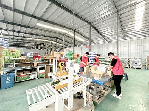 筑巢引商興產(chǎn)業(yè)，日用品銷售繪就鄉(xiāng)村新畫卷